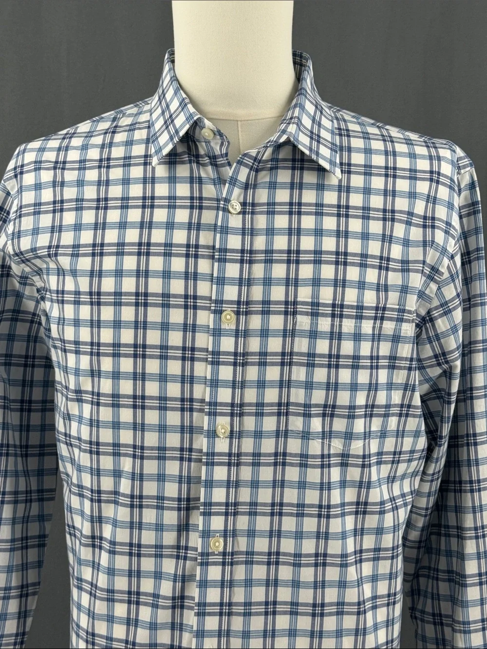 Banana Republic Blue & White Plaid Button-Up Shirt